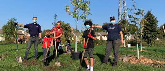 L’APWD et l’ERCA ont planté 25 arbres dans le parc de l’avenue College