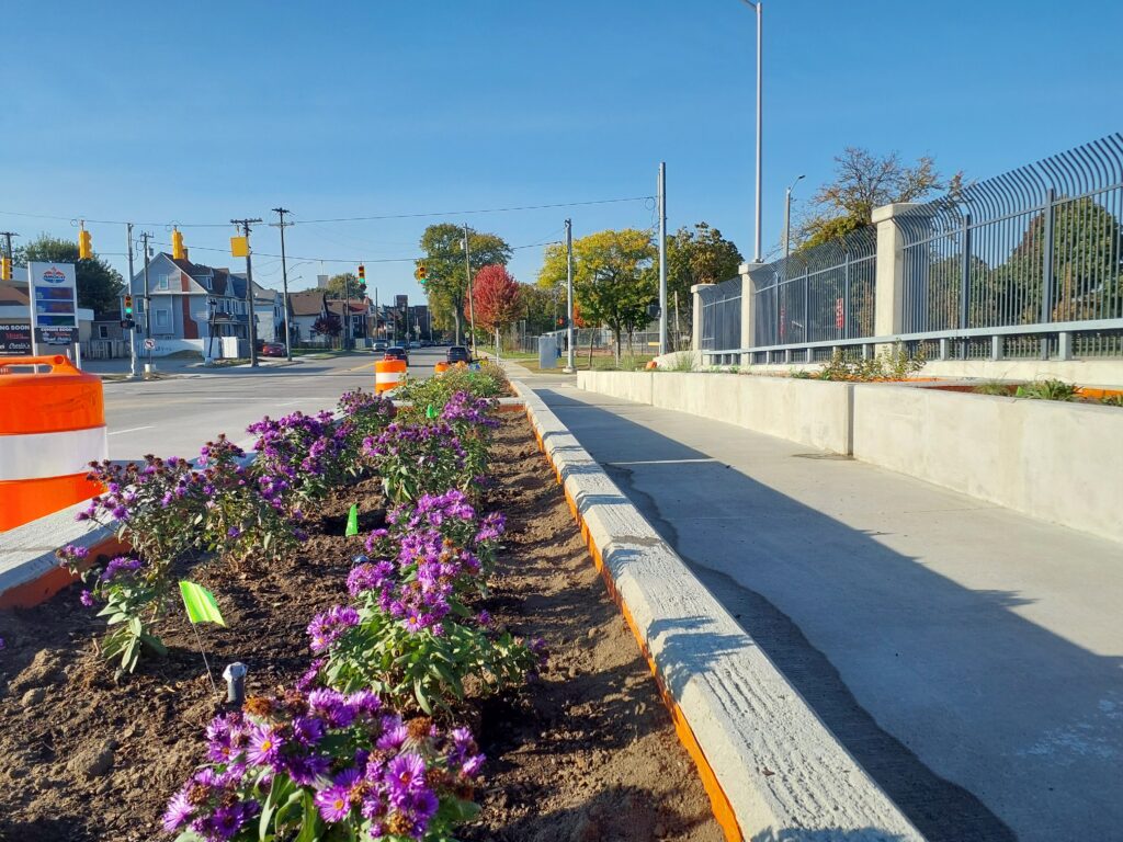 Arbustes, graminées et plantes herbacées sur les nouveaux ponts routiers de l'échangeur du Michigan